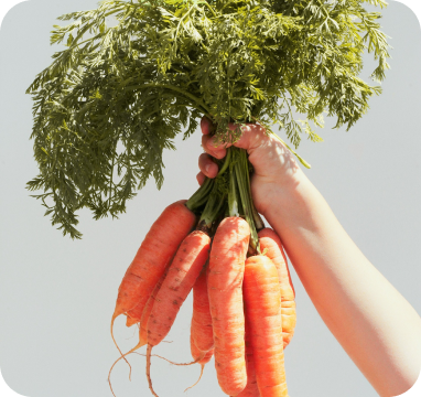 Menjar potxo al mercat i a la ràdio!