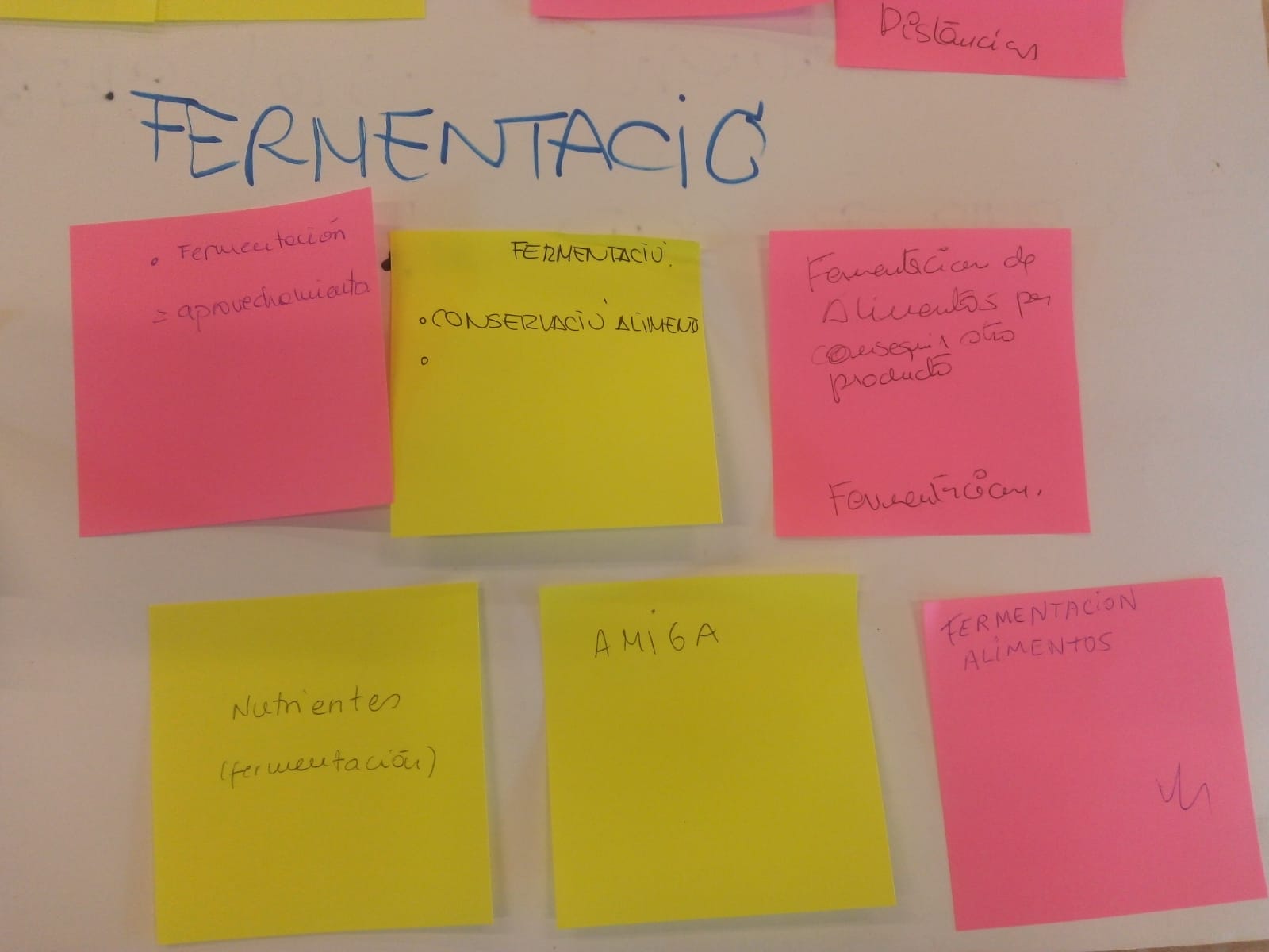 Encetem el procés “Cuchara creix”