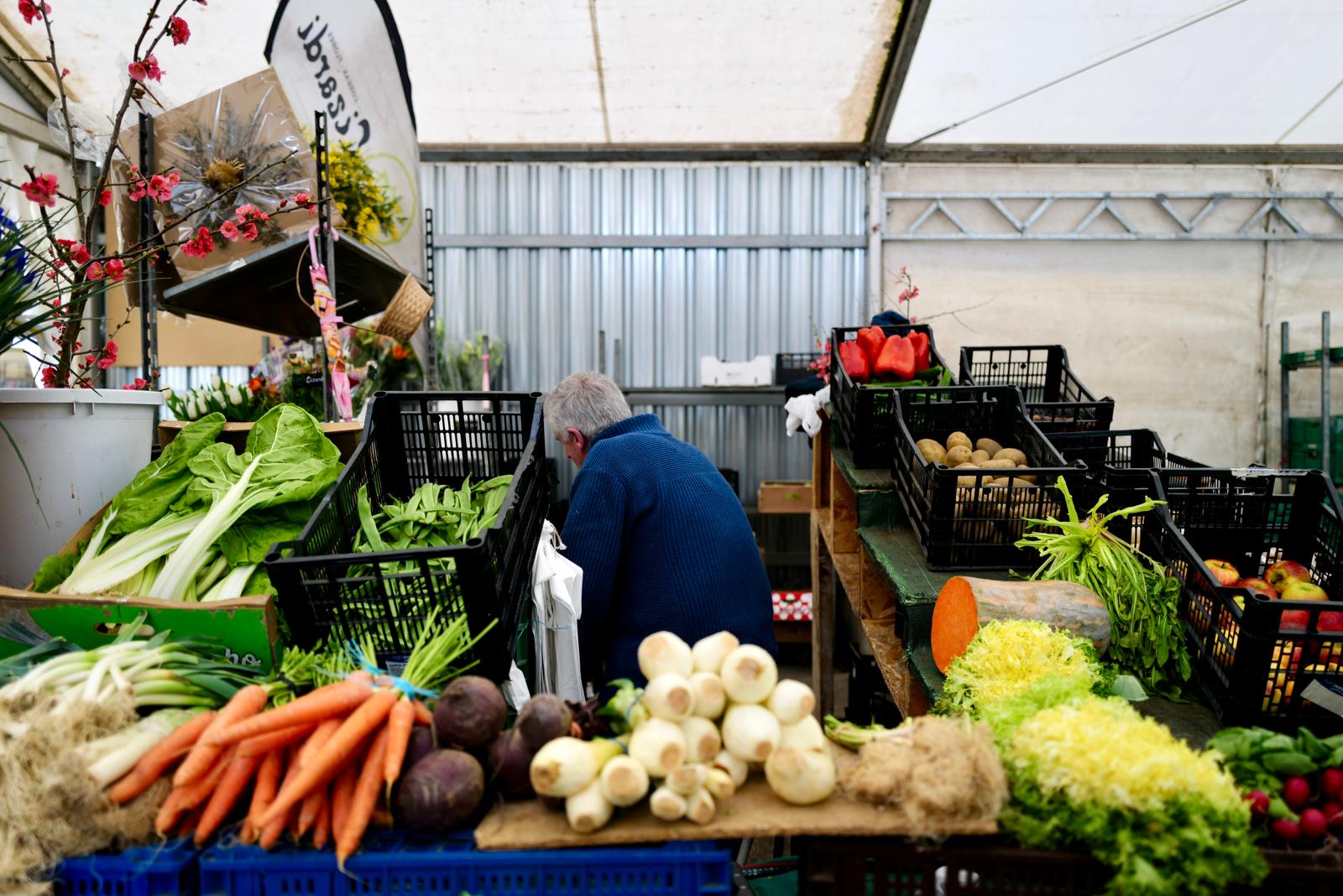 Donosti comestible I